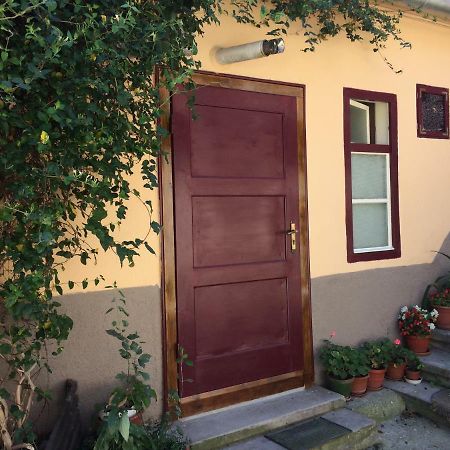 Iony Apartament シビウ エクステリア 写真